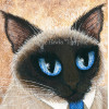 LE Canvas - Siamese Coffee Cat